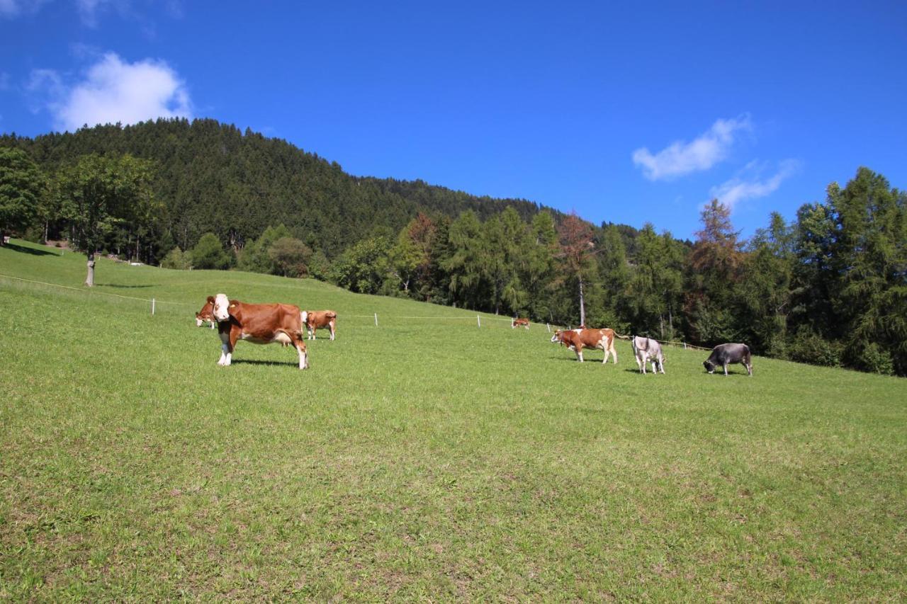 Gasthof Walde Rifiano Esterno foto