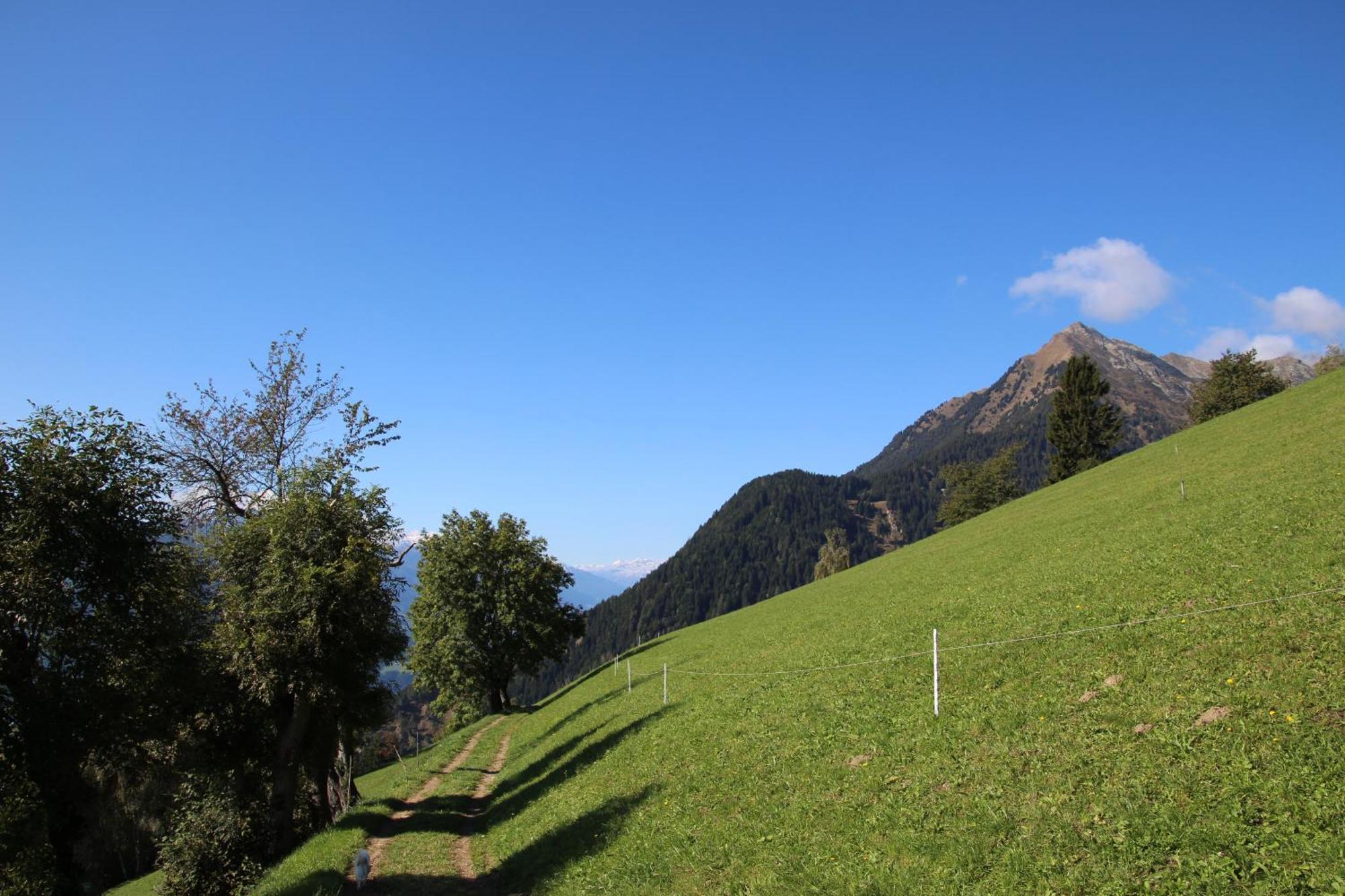 Gasthof Walde Rifiano Esterno foto