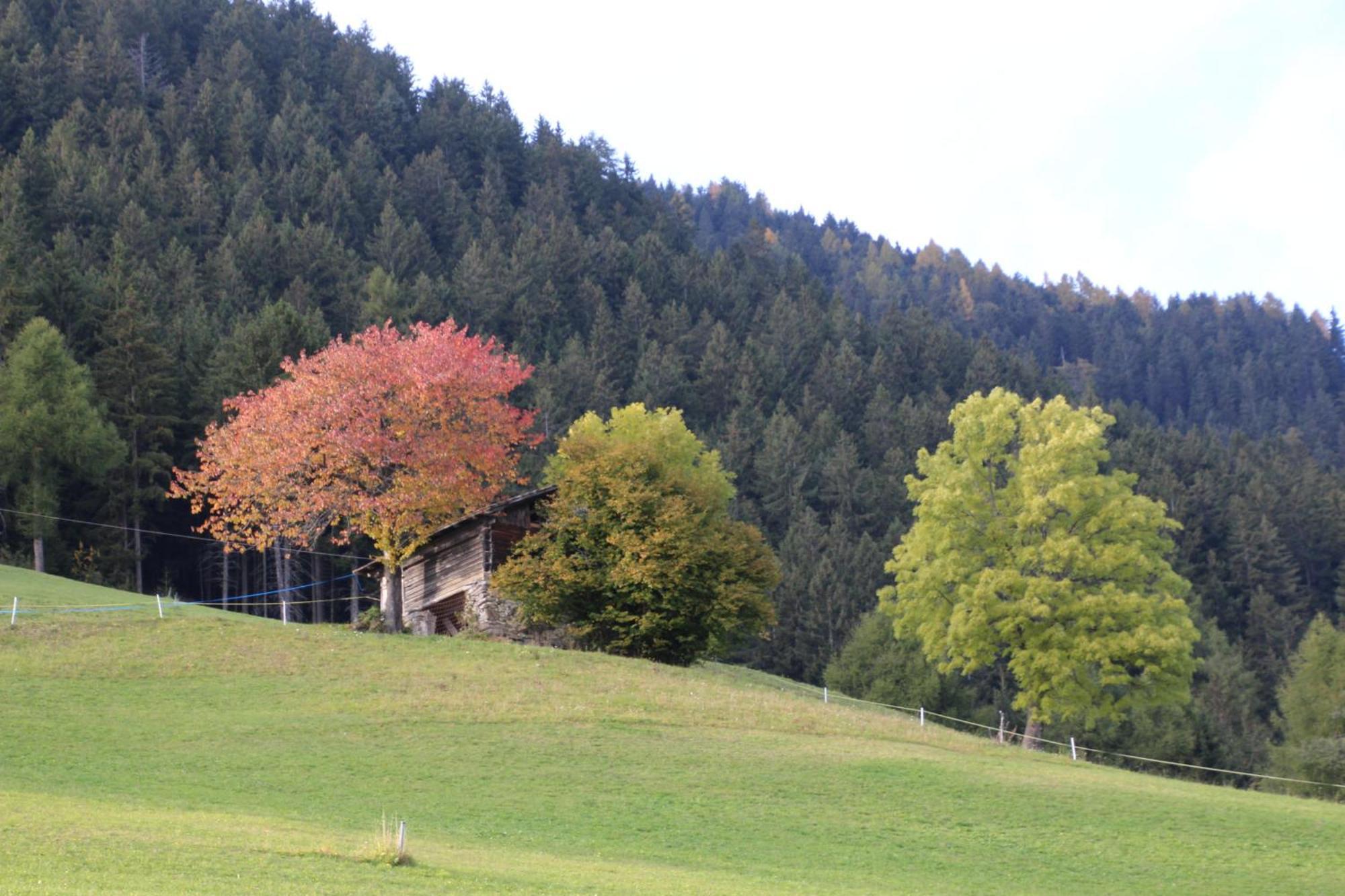 Gasthof Walde Rifiano Esterno foto